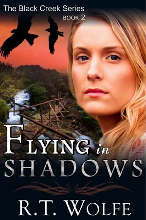 [Black Creek Series 02] • Flying in Shadows